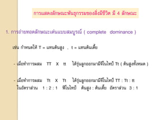 1. การถ่ายทอดลักษณะเด่นแบบสมบูรณ์ ( complete dominance )
เช่น กาหนดให้ T = แทนต้นสูง , t = แทนต้นเตี้ย
การแสดงลักษณะพันธุกรรมของสิ่งมีชีวิต มี 4 ลักษณะ
- เมื่อทาการผสม TT X tt ได้รุ่นลูกออกมามีจีโนไทป์ Tt ( ต้นสูงทั้งหมด )
- เมื่อทาการผสม Tt X Tt ได้รุ่นลูกออกมามีจีโนไทป์ TT : Tt : tt
ในอัตราส่วน 1 : 2 : 1 ฟีโนไทป์ ต้นสูง : ต้นเตี้ย อัตราส่วน 3 : 1
 