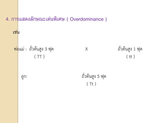 4. การแสดงลักษณะเด่นพิเศษ ( Overdominance )
เช่น
พ่อแม่ : ถั่วต้นสูง 3 ฟุต X ถั่วต้นสูง 1 ฟุต
( TT ) ( tt )
ลูก: ถั่วต้นสูง 5 ฟุต
( Tt )
 