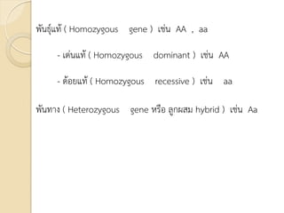 พันธุ์แท้ ( Homozygous gene ) เช่น AA , aa
- เด่นแท้ ( Homozygous dominant ) เช่น AA
- ด้อยแท้ ( Homozygous recessive ) เช่น aa
พันทาง ( Heterozygous gene หรือ ลูกผสม hybrid ) เช่น Aa
 