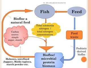 Fish Feed
Feed
Carbon
source:
simple
sugar, starch
Carbon
source:
simple
sugar, starch
Total ammonia
nitrogen /
total nitrogen
concentration
Total ammonia
nitrogen /
total nitrogen
concentration Feed
waste
Biofloc/
microbial
protein
biomass
Biofloc/
microbial
protein
biomass
Biofloc a
natural feed
Probiotic
derived
biofloc
Probiotic
derived
biofloc
Molasses, unrefined
Jaggary, Maida tapioca,
starch powder etc.
Molasses, unrefined
Jaggary, Maida tapioca,
starch powder etc.
Dr. MD AKLAKUR 9004862708
 