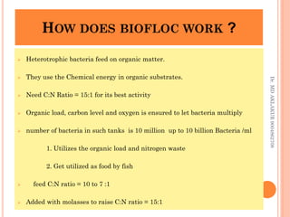 HOW DOES BIOFLOC WORK ?
HOW DOES BIOFLOC WORK ?
 Heterotrophic bacteria feed on organic matter.
 They use the Chemical energy in organic substrates.
 Need C:N Ratio = 15:1 for its best activity
 Organic load, carbon level and oxygen is ensured to let bacteria multiply
 number of bacteria in such tanks is 10 million up to 10 billion Bacteria /ml
1. Utilizes the organic load and nitrogen waste
2. Get utilized as food by fish
 feed C:N ratio = 10 to 7 :1
 Added with molasses to raise C:N ratio = 15:1
Dr.
MD
AKLAKUR
9004862708
 