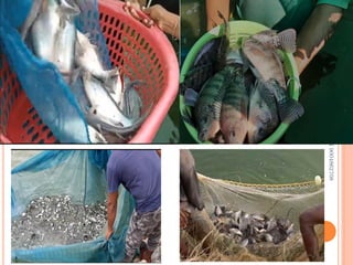 Dr.
MD
AKLAKUR
9004862708
 