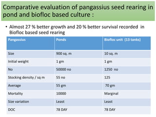 Comparative evaluation of pangassius seed rearing in
pond and biofloc based culture :
• Almost 27 % better growth and 20 % better survival recorded in
Biofloc based seed rearing
Pangassius Ponds Biofloc unit (13 tanks)
Size 900 sq. m 10 sq. m
Initial weight 1 gm 1 gm
No 50000 no 1250 no
Stocking density / sq m 55 no 125
Average 55 gm 70 gm
Mortality 10000 Marginal
Size variation Least Least
DOC 78 DAY 78 DAY
 