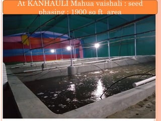 Dr.
MD
AKLAKUR
9004862708
At KANHAULI Mahua vaishali : seed
phasing : 1900 sq ft area
 