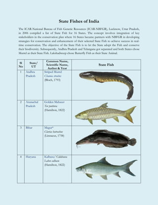 State Fishes of India
The ICAR-National Bureau of Fish Genetic Resources (ICAR-NBFGR), Lucknow, Uttar Pradesh,
in 2006 compiled a list of State Fish for 16 States. The concept involves integration of key
stakeholders in the conservation plan where 16 States became partners with NBFGR in developing
strategies for conservation and enhancement of their selected State Fish to achieve success in real-
time conservation. The objective of the State Fish is to let the State adopt the Fish and conserve
their biodiversity. Subsequently, Andhra Pradesh and Telangana got separated and both States chose
Murrel as their State Fish. Lakshadweep chose Butterfly Fish as their State Animal.
Sl
No
State/
UT
Common Name,
Scientific Name,
Author & Year
State Fish
1 Andhra
Pradesh
Striped Murrel
Channa straitus
(Bloch, 1793)
2 Arunachal
Pradesh
Golden Mahseer
Tor putitora
(Hamilton, 1822)
3 Bihar Magur*
Clarias batrachus
(Linnaeus, 1758)
4 Haryana Kalbasu/ Calabasu
Labeo calbasu
(Hamilton, 1822)
 