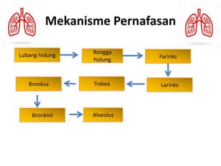 2.1 sistem respirasi manusia.pptx