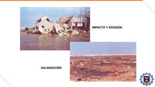 IMPACTO Y EROSIÓN
SALINIZACIÓN
 