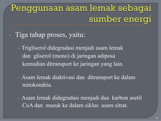 • Tiga tahap proses, yaitu:
– Trigliserol didegradasi menjadi asam lemak
dan gliserol (mono) di jaringan adiposa
kemudian ditransport ke jaringan yang lain.
– Asam lemak diaktivasi dan ditransport ke dalam
mitokondria.
– Asam lemak didegradasi menjadi dua karbon asetil
CoA dan masuk ke dalam siklus asam sitrat.
11
 