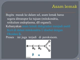 · Begitu masuk ke dalam sel, asam lemak harus
segera ditranspor ke tujuan (mitokondria,
retikulum endoplasma, dll organel).
· Kebanyakan asam lemak didegradasi menjadi asetil
KoA di dalam mitokondria 🡪 disebut dengan
Oksidasi β.
· Proses ini juga terjadi di peroksisom.
18
 