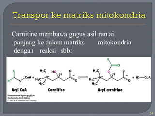 · Carnitine membawa gugus asil rantai
panjang ke dalam matriks mitokondria
dengan reaksi sbb:
24
 