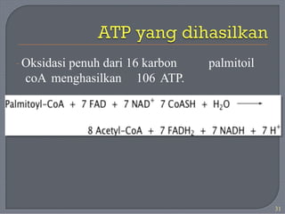 · Oksidasi penuh dari 16 karbon palmitoil
coA menghasilkan 106 ATP.
31
 