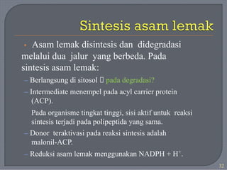 • Asam lemak disintesis dan didegradasi
melalui dua jalur yang berbeda. Pada
sintesis asam lemak:
– Berlangsung di sitosol 🡪 pada degradasi?
– Intermediate menempel pada acyl carrier protein
(ACP).
Pada organisme tingkat tinggi, sisi aktif untuk reaksi
sintesis terjadi pada polipeptida yang sama.
– Donor teraktivasi pada reaksi sintesis adalah
malonil-ACP.
– Reduksi asam lemak menggunakan NADPH + H+
.
32
 