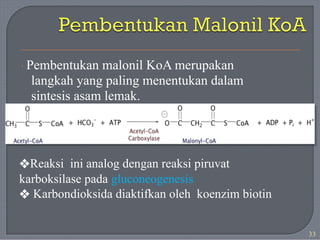 · Pembentukan malonil KoA merupakan
langkah yang paling menentukan dalam
sintesis asam lemak.
❖Reaksi ini analog dengan reaksi piruvat
karboksilase pada gluconeogenesis
❖ Karbondioksida diaktifkan oleh koenzim biotin
33
 