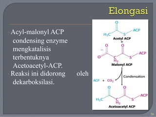 · Acyl-malonyl ACP
condensing enzyme
mengkatalisis
terbentuknya
Acetoacetyl-ACP.
· Reaksi ini didorong
dekarboksilasi.
oleh
36
 