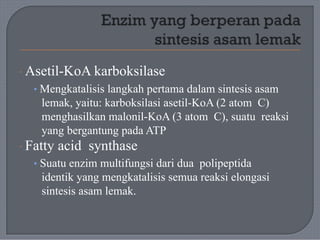 · Asetil-KoA karboksilase
• Mengkatalisis langkah pertama dalam sintesis asam
lemak, yaitu: karboksilasi asetil-KoA (2 atom C)
menghasilkan malonil-KoA (3 atom C), suatu reaksi
yang bergantung pada ATP
· Fatty acid synthase
• Suatu enzim multifungsi dari dua polipeptida
identik yang mengkatalisis semua reaksi elongasi
sintesis asam lemak.
 