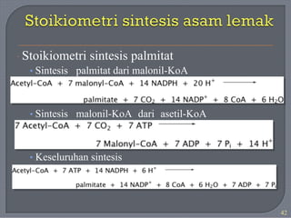 · Stoikiometri sintesis palmitat
• Sintesis palmitat dari malonil-KoA
• Sintesis malonil-KoA dari asetil-KoA
• Keseluruhan sintesis
42
 