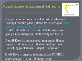 Tiga putaran pertama dari oksidasi berjalan seperti
biasanya, namun pada putaran ke-4, terdapat ikatan
rangkap antara atom C3 dan C4
🡪 tidak dikenali oleh asil-KoA dehidrogenase
(yang hanya mengenali ikatan rangkap trans)
🡪 enoil-KoA isomerase akan mengubah ikatan
rangkap 3,4 cis menjadi ikatan rangkap trans
3,4, sehingga oksidasi- β dapat dilanjutkan
Enoil-KoA isomerase menggunakan FADH2 🡪
setara dengan 1.5 ATP 🡪 energi yang
·
·
·
51
 