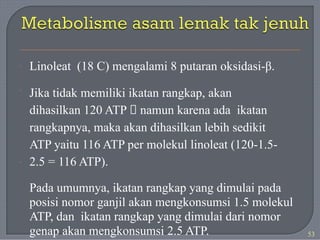 Linoleat (18 C) mengalami 8 putaran oksidasi-β.
Jika tidak memiliki ikatan rangkap, akan
dihasilkan 120 ATP 🡪 namun karena ada ikatan
rangkapnya, maka akan dihasilkan lebih sedikit
ATP yaitu 116 ATP per molekul linoleat (120-1.5-
2.5 = 116 ATP).
Pada umumnya, ikatan rangkap yang dimulai pada
posisi nomor ganjil akan mengkonsumsi 1.5 molekul
ATP, dan ikatan rangkap yang dimulai dari nomor
genap akan mengkonsumsi 2.5 ATP.
·
·
·
53
 