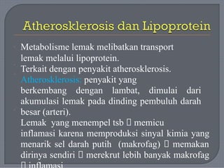 Metabolisme lemak melibatkan transport
lemak melalui lipoprotein.
Terkait dengan penyakit atherosklerosis.
Atherosklerosis: penyakit yang
berkembang dengan lambat, dimulai dari
akumulasi lemak pada dinding pembuluh darah
besar (arteri).
Lemak yang menempel tsb 🡪 memicu
inflamasi karena memproduksi sinyal kimia yang
menarik sel darah putih (makrofag) 🡪 memakan
dirinya sendiri 🡪 merekrut lebih banyak makrofag
·
·
·
·
 