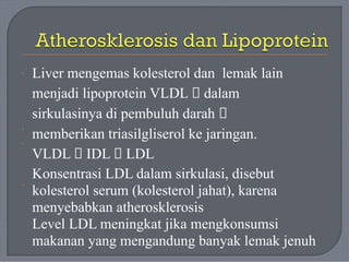 Liver mengemas kolesterol dan lemak lain
menjadi lipoprotein VLDL 🡪 dalam
sirkulasinya di pembuluh darah 🡪
memberikan triasilgliserol ke jaringan.
VLDL 🡪 IDL 🡪 LDL
Konsentrasi LDL dalam sirkulasi, disebut
kolesterol serum (kolesterol jahat), karena
menyebabkan atherosklerosis
Level LDL meningkat jika mengkonsumsi
makanan yang mengandung banyak lemak jenuh
·
·
·
·
 