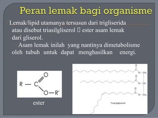 · Lemak/lipid utamanya tersusun dari trigliserida
atau disebut triasilgliserol 🡪 ester asam lemak
dari gliserol.
· Asam lemak inilah yang nantinya dimetabolisme
oleh tubuh untuk dapat menghasilkan energi.
ester
 