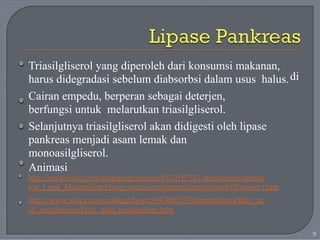 Triasilgliserol yang diperoleh dari konsumsi makanan,
harus didegradasi sebelum diabsorbsi dalam usus halus.
Cairan empedu, berperan sebagai deterjen,
berfungsi untuk melarutkan triasilgliserol.
Selanjutnya triasilgliserol akan didigesti oleh lipase
pankreas menjadi asam lemak dan
monoasilgliserol.
Animasi
di
http://www.wiley.com/college/grosvenor/0470197587/animations/Animat
ion_Lipid_Metabolism/Energy/media/content/met/anima/met4a/framese t.htm
http://www.wiley.com/college/boyer/0470003790/animations/fatty_ac
id_metabolism/fatty_acid_metabolism.htm
9
 