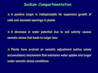 A positive turgor is indispensable for expansion growth of
cells and stomatal openings in plants
A decrease in water potential due to soil salinity causes
osmotic stress that leads to turgor loss
Plants have evolved an osmotic adjustment (active solute
accumulation) mechanism that maintains water uptake and turgor
under osmotic stress conditions
Sodium Compartmentation
 