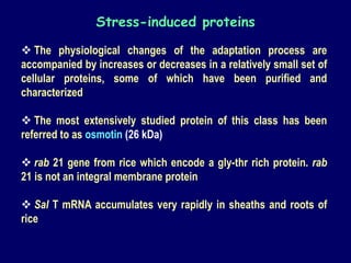  The physiological changes of the adaptation process are
accompanied by increases or decreases in a relatively small set of
cellular proteins, some of which have been purified and
characterized
 The most extensively studied protein of this class has been
referred to as osmotin (26 kDa)
 rab 21 gene from rice which encode a gly-thr rich protein. rab
21 is not an integral membrane protein
 Sal T mRNA accumulates very rapidly in sheaths and roots of
rice
Stress-induced proteins
 