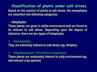 Based on the reaction of plants to salt stress, the mesophytes
are classified into following categories:
 Halophytes:
These plants can grow in saline environment and are found to
be tolerant to salt stress. Depending upon the degree of
tolerance, there are two types of halophytes.
1. Euhalophytes
They are extremely tolerant to salt stress (eg. Atriplex).
2. Oligohalophytes (Facultative halophytes)
These plants are moderately tolerant to salty environment (eg.
salt tolerant crop species)
Classification of plants under salt stress
 