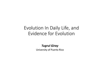 Evolution In Daily Life, and
Evidence for Evolution
Tugrul Giray
University of Puerto Rico
 