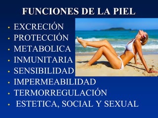 FUNCIONES DE LA PIEL
• EXCRECIÓN
• PROTECCIÓN
• METABOLICA
• INMUNITARIA
• SENSIBILIDAD
• IMPERMEABILIDAD
• TERMORREGULACIÓN
• ESTETICA, SOCIAL Y SEXUAL
 