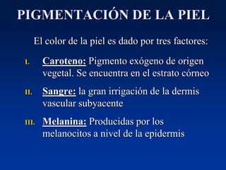 PIGMENTACIÓN DE LA PIEL
El color de la piel es dado por tres factores:
I. Caroteno: Pigmento exógeno de origen
vegetal. Se encuentra en el estrato córneo
II. Sangre: la gran irrigación de la dermis
vascular subyacente
III. Melanina: Producidas por los
melanocitos a nivel de la epidermis
 
