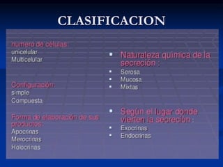 CLASIFICACION
 