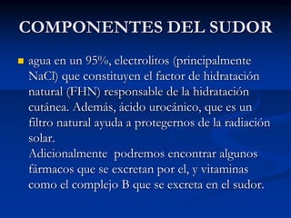 COMPONENTES DEL SUDOR
◼ agua en un 95%, electrolitos (principalmente
NaCl) que constituyen el factor de hidratación
natural (FHN) responsable de la hidratación
cutánea. Además, ácido urocánico, que es un
filtro natural ayuda a protegernos de la radiación
solar.
Adicionalmente podremos encontrar algunos
fármacos que se excretan por el, y vitaminas
como el complejo B que se excreta en el sudor.
 