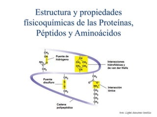 Estructura y propiedades
físicoquímicas de las Proteínas,
Péptidos y Aminoácidos
Dra. Ligbel Sanchez Castillo
 