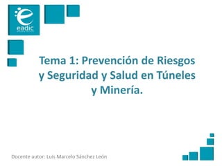 Tema 1: Prevención de Riesgos
y Seguridad y Salud en Túneles
y Minería.
Docente autor: Luis Marcelo Sánchez León
 
