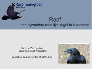 Raaf
een bijzondere rode lijst vogel in Nederland
Hans de Vos Burchart
Ravenwerkgroep Nederland
Landelijke dag Sovon, 25-11-2022, Ede
1
 