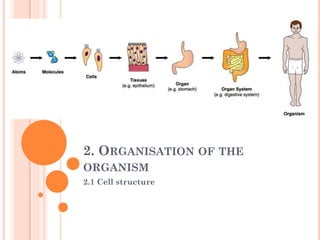 2. ORGANISATION OF THE
ORGANISM
2.1 Cell structure
 