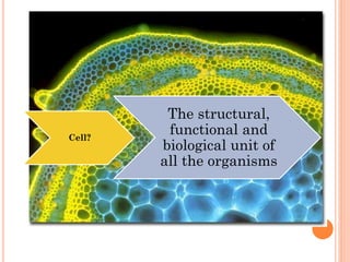 Cell?
The structural,
functional and
biological unit of
all the organisms
 