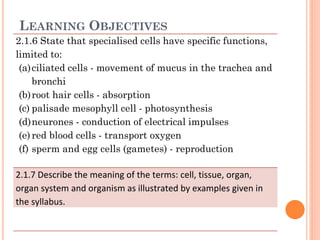 1-Animal Specialized Cells:
❖Ciliated cells
❖Blood Cells: Red Blood & White
Blood Cells,
❖Nerve Cells,
❖Sex Cells: Sperm &...