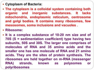 2. Bacteria.ppt