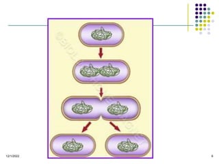 2. Bacterial Reproduction. Dr. Thirunahari Uagandhar ppt | PPT
