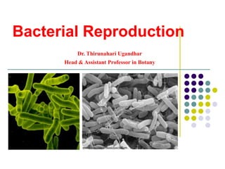 Bacterial Reproduction
Dr. Thirunahari Ugandhar
Head & Assistant Professor in Botany
 