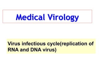 Medical Virology
Virus infectious cycle(replication of
RNA and DNA virus)
 