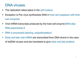 DNA viruses
 The replication takes place in the cell nucleus
 Exception is Pox virus synthesizes DNA in host cell cytoplasm with their
own enzymes
 Viral mRNA transcripts produced by the host cell enzyme-DNA-dep-
RNA polymerase II
 RNA is processed (splicing, polyadenylation)
 Early and late viral mRNA are transcribed from DNA strand in the case
of dsDNA viruses and are translated to give early and late proteins
9
 