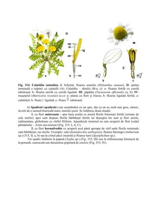 2. INMULTIREA PL. PARTEA II. AGRO+HORTI.pdf