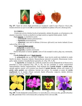 2. INMULTIREA PL. PARTEA II. AGRO+HORTI.pdf