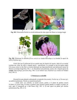 2. INMULTIREA PL. PARTEA II. AGRO+HORTI.pdf