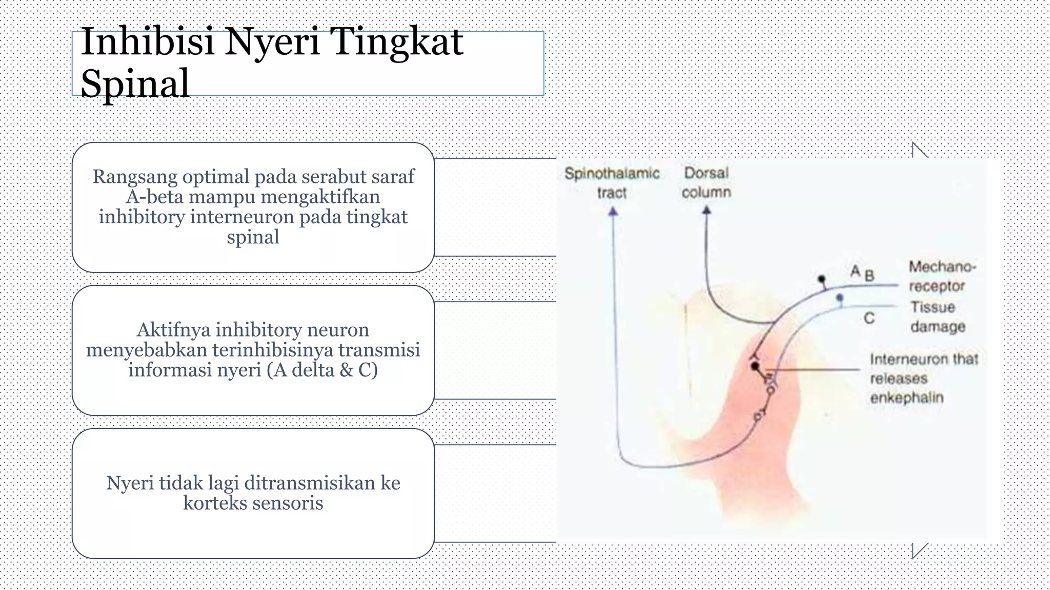 2. Interferential Current.pptx