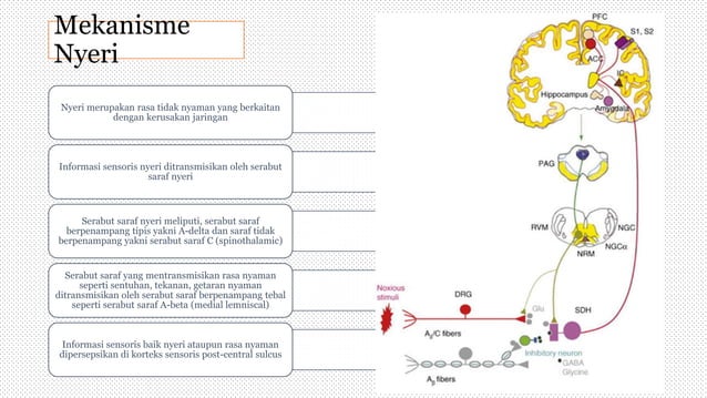 2. Interferential Current.pptx